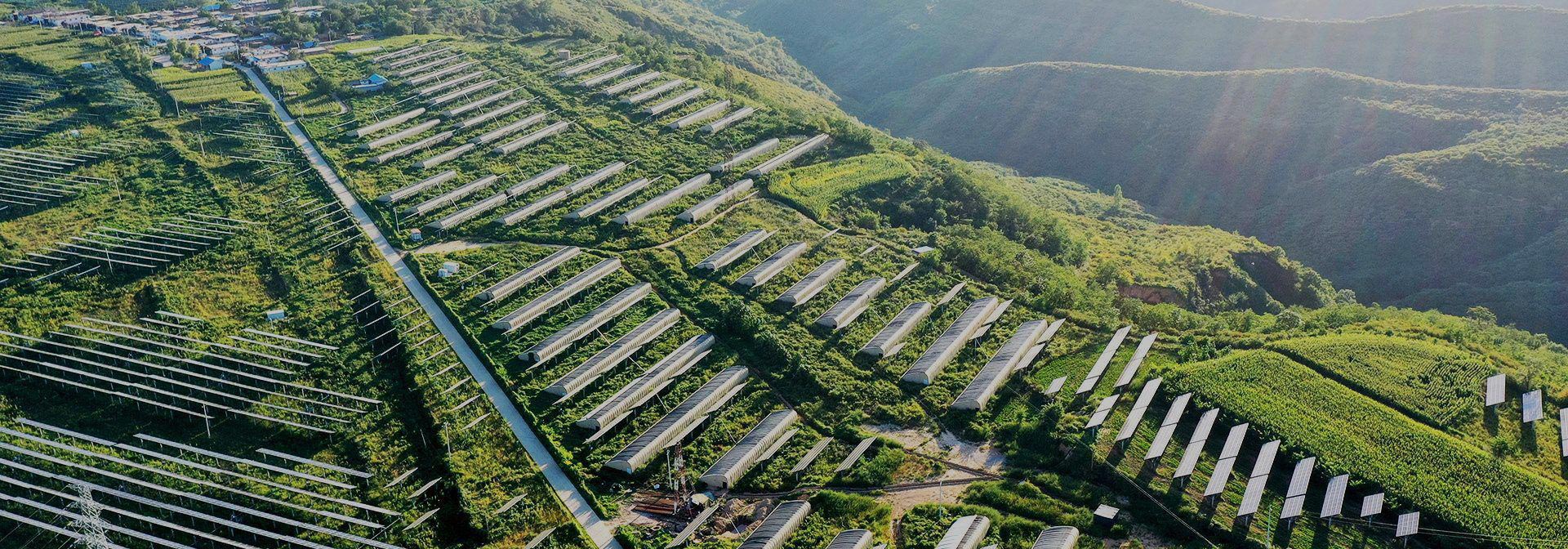 联系ml体育平台